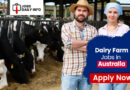 Dairy Farm Jobs in Australia – Latest Vacancies